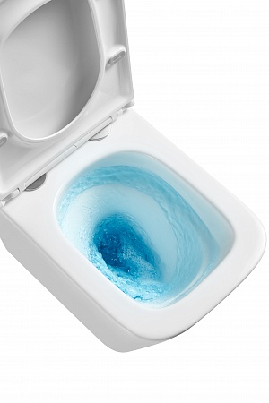 Подвесной унитаз безободковый Terminus Ватикан Monolit 490х340 белый Ярославль - фото 8