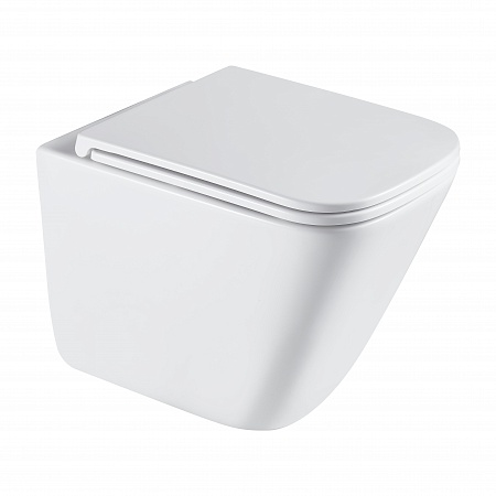 Подвесной унитаз безободковый Terminus Ватикан Monolit 490х340 белый Ярославль - фото 2