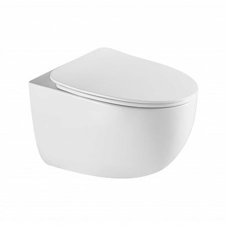 Подвесной унитаз безободковый Terminus Енисей Monolit 560х390 белый Ярославль - фото 2