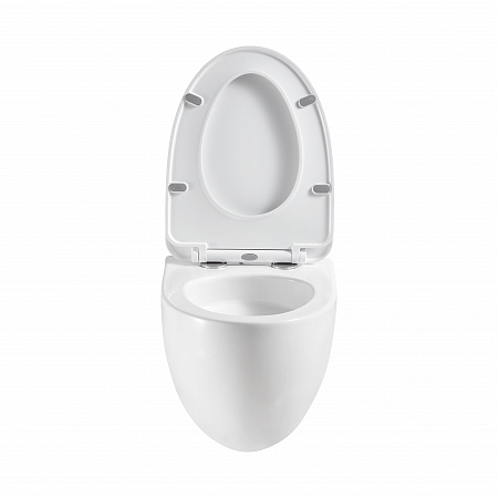 Подвесной унитаз безободковый Terminus Енисей Monolit 560х390 белый Ярославль - фото 5