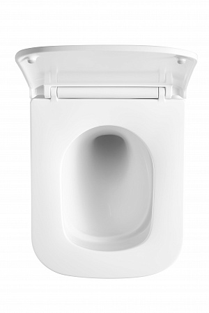 Подвесной унитаз безободковый Terminus Ватикан Monolit 490х340 белый Ярославль - фото 3